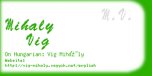 mihaly vig business card
